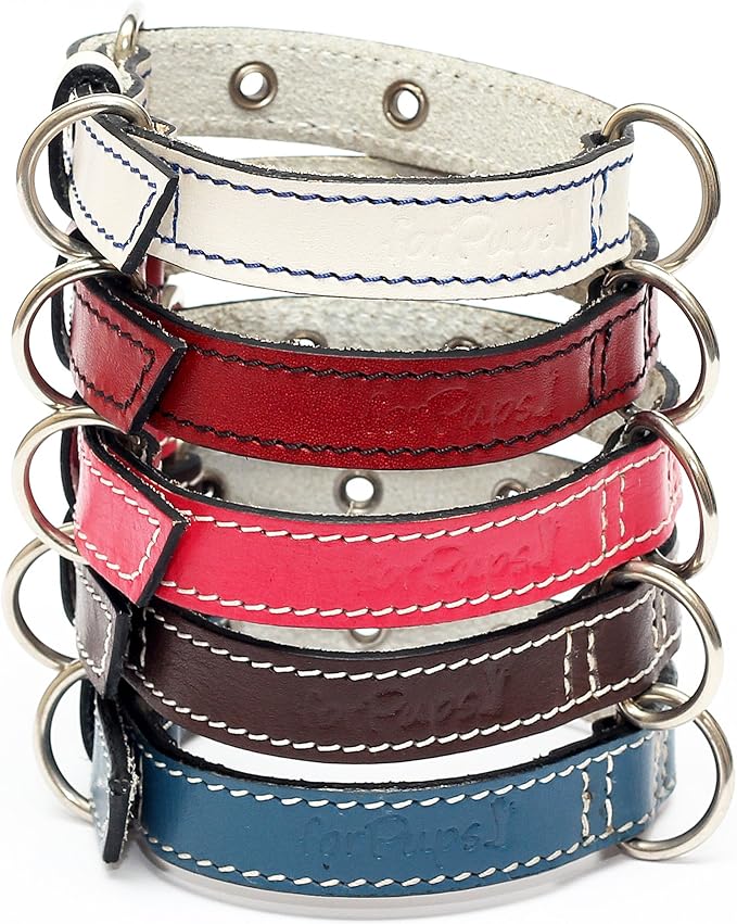 Premium Leather Collars with Stainless Steel Buckles (9"-12", Pink)
