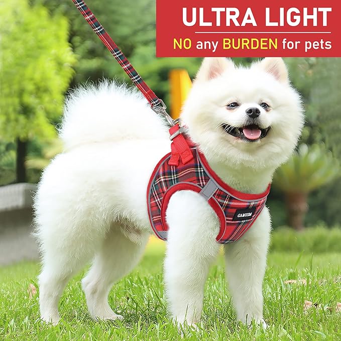 GAMUDA Small Dog Harness Collar and Leash Set, Step in No Chock No Pull Soft Mesh Adjustable Dog Vest Harnesses Plaid Reflective for Dogs Puppy Cats Kitten Rabbit (Red, XXXS)