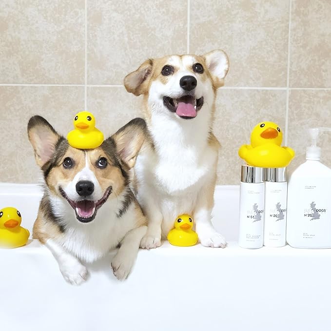 Isle of Dogs Coature No. 51 Heavy Management Dog Conditioner for Damaged Hair, 8.4 oz.