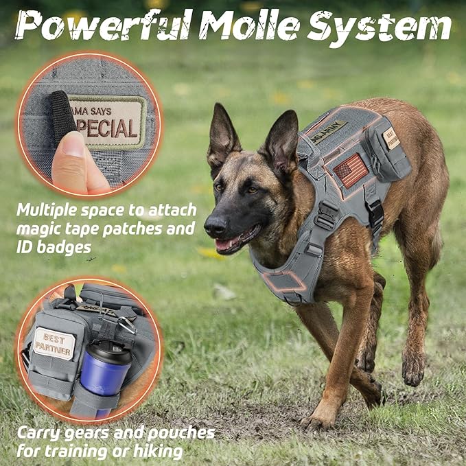 rabbitgoo Tactical Dog Harness for Large Dogs, Heavy Duty Dog Harness with Handle, No-Pull Service Dog Vest Large Breed, Adjustable Military Dog Vest Harness for Training Hunting Walking, Grey, XL