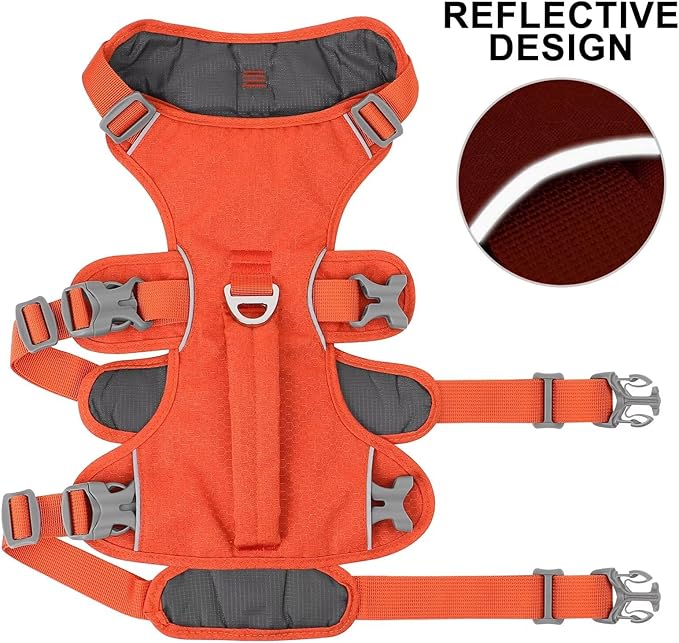 Beirui Escape Proof Dog Harness,Soft Padded Dog Vest No Pull with Lift Handle,Durable Reflective Waterproof Full Body Pet Harness for Small Medium Dogs Walking Training(Orange,Chest 18-32")