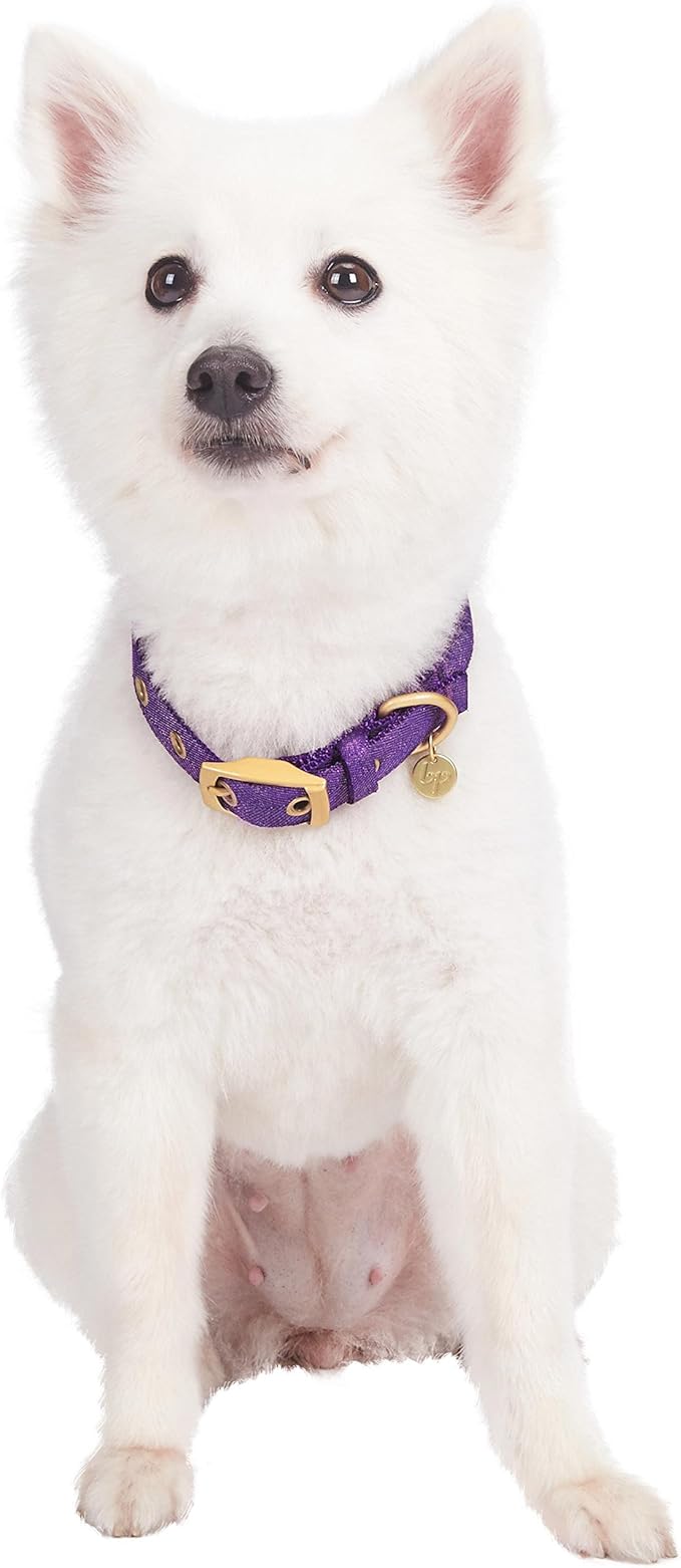 Blueberry Pet 6 Colors The Most Coveted Designer Mixed Metallic Thread Adjustable Dog Collar in Dazzling Tinsel Purple with Metal Buckle, Neck 9-12.5", for Small Breed