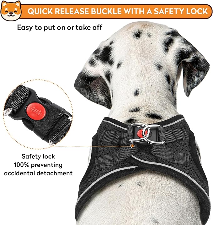 Dog Harness with Leash Set, No-Pull Step-in Reflective Pet Harness with 1 Leash Clips, Adjustable Soft Padded Easy Walk Dog Vest for Small Medium Large Dogs, Cats(Carbon Black, XLarge)