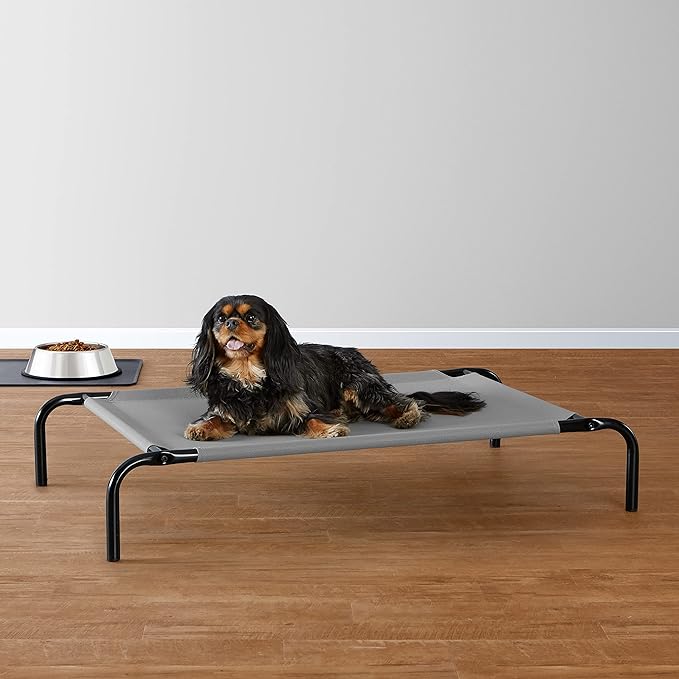 Amazon Basics Cooling Elevated Pet Bed, Small (36 x 22 x 7.5 Inches), Grey
