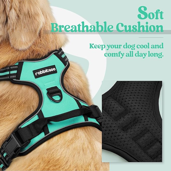 rabbitgoo Dog Harness, No-Pull Pet Harness with 2 Leash Clips, Adjustable Soft Padded Dog Vest, Reflective No-Choke Pet Oxford Vest with Easy Control Handle for Large Dogs, Turquoise, L