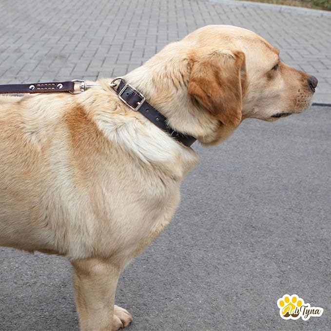 ADITYNA - Leather Dog Collar for Extra-Large Dogs - Heavy Duty Dog Collar for Big Dog Breeds - XL Dog Collar (XL - Neck: 23-28 inches, Brown)