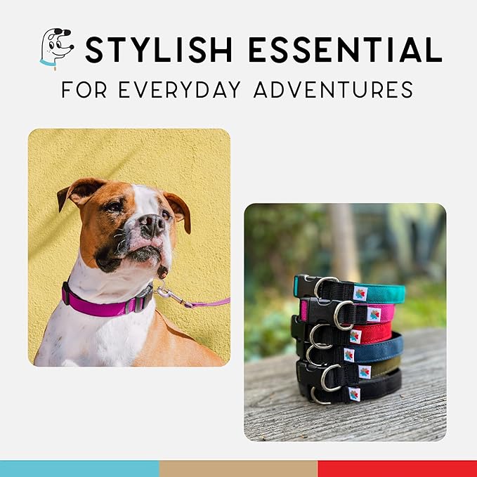 Dog Collar, Lightweight, Heavy Duty Dog Collar with Buckle, Fabric Pet Collar, Breathable & Adjustable Puppy Collar, Dog Collars for Small Dogs (Fuchsia, Small - 8-12 Inch) - Wildebeest