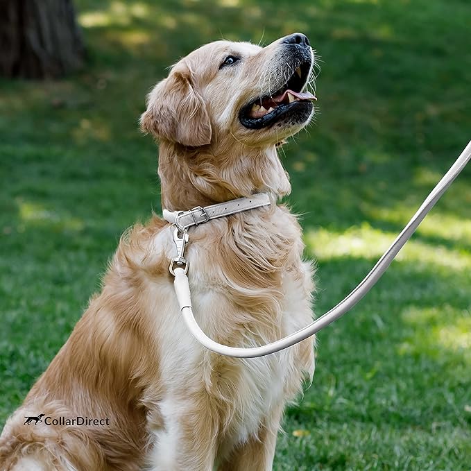 CollarDirect Rolled Leather Dog Collar, Soft Padded Round Puppy Collar, Handmade Genuine Leather Collar Dog Small Large Cat Collars 13 Colors (15-19 Inch, White Textured)