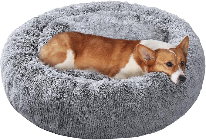 JOLLYVOGUE Dog Beds, Calming Small Dog Bed, Anti-Anxiety Dog Bed for Small Dogs, Fluffy Donut Dog Bed, Cozy Dog Cat Cushion Bed for Small Medium Dogs (24")