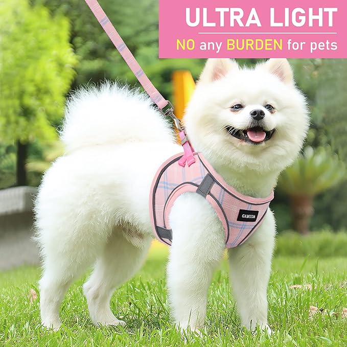 GAMUDA Small Dog Harness Collar and Leash Set, Step in No Chock No Pull Soft Mesh Adjustable Dog Vest Harnesses Plaid Reflective for Dogs Puppy Cats Kitten Rabbit (Pink, XS)