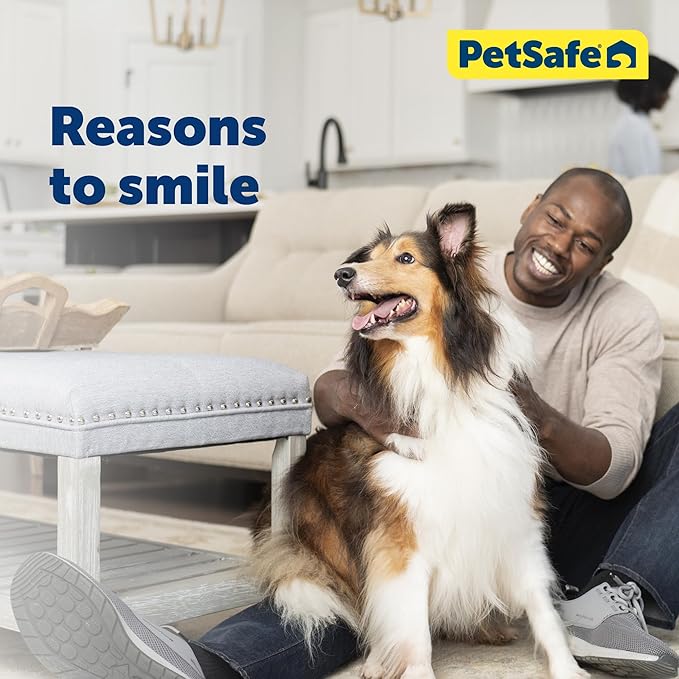 PetSafe Closing Panel Pet Door Cover - Durable, Plastic Dog Door Cover - Rust-Proof - Compatible with Select PetSafe Doors - Extra Large