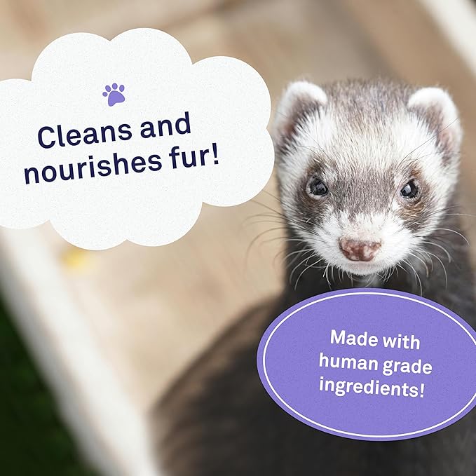 Petpost | Ferret Shampoo - Powerful Deodorizing Shampoo for Ferrets and Small Animals - Naturally Effective Healthy Skin & Coat Formula (8 oz., Shampoo)