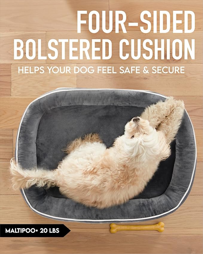 OhGeni Orthopedic Dog Bed for Medium Dogs, Dog Couch Design with Egg Foam Support, Removable, Machine Washable Plush Cover and Non-Slip Bottom with Four Sided Bolster Cushion (Gray)