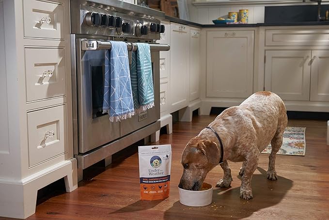 Under the Weather Bland Diet for Dogs | Easy to Digest for Sick Dogs |Always Be Ready | Contains Electrolytes - All Natural Freeze Dried 100% Human Grade Meats | 6 Pack - Rice, Chicken & Pumpkin - 6oz