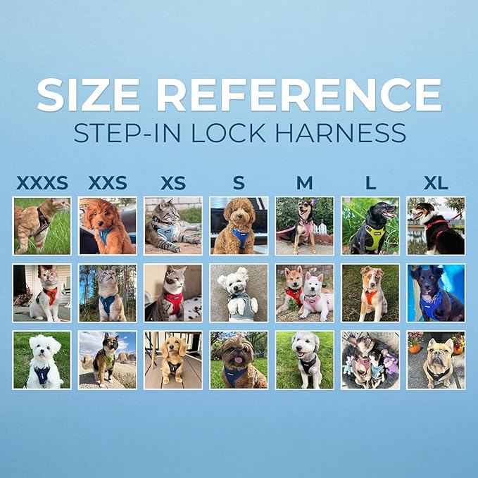 Voyager Step-in Lock Dog Harness w Reflective Dog Leash Combo Set with Neoprene Handle 5ft - Supports Small, Medium and Large Breed Puppies/Cats by Best Pet Supplies - Baby Blue, XS