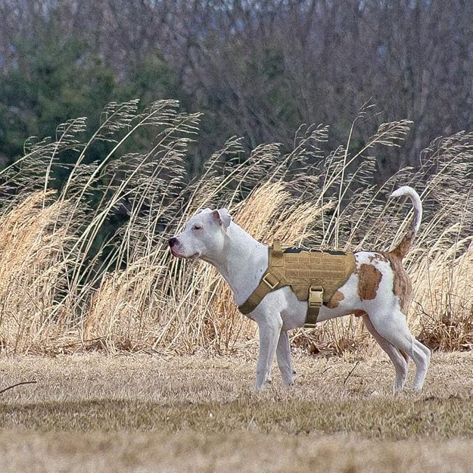 EXCELLENT ELITE SPANKER Dog Harness Tactical Military Dog Harness Adjustable No-Pull Dog Harness Training Hunting Dog Tactical Vest with Handle(COB-M)