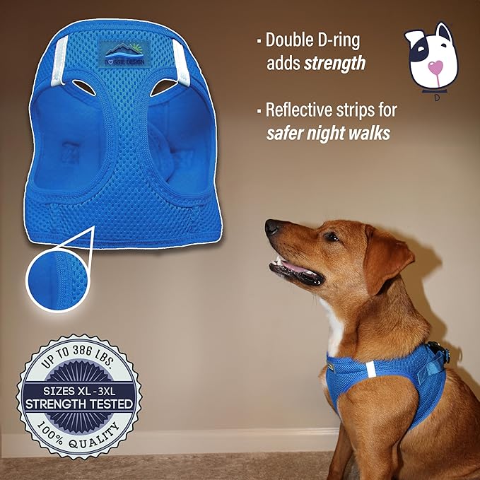 Doggie Design Dog Harness - No Choke Dog Harness, Dog Vest, Mesh Polyester, Pet Harness, Simple Step in and Go Design, Harness for Dog - Cobalt Blue, 2XL