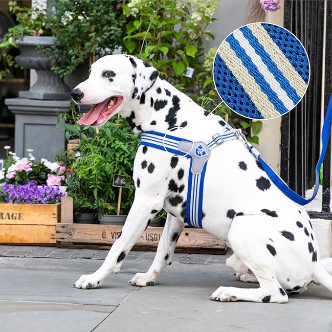 HUGO & HUDSON Easy Walk Dog Harness, Adjustable Quick Dry No-Pull Pet Harness, Royal Blue, Size 2