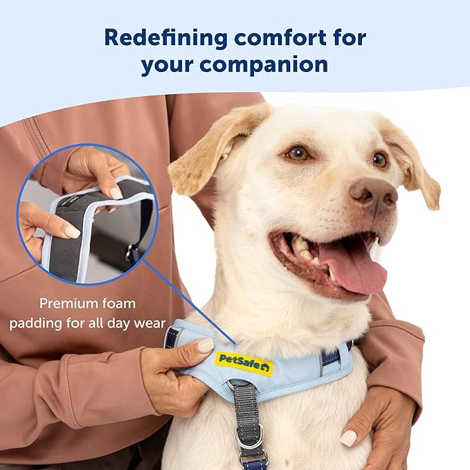 PetSafe Easy Walk Comfort No-Pull Dog Harness Full-Body Padding - Better Walks on The First Use - 5 Points of Adjustment Small/Medium, Black