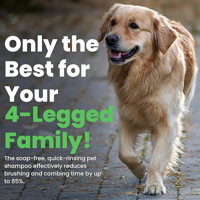 Best Shot Ultra Dirty Wash Shampoo, 16 oz