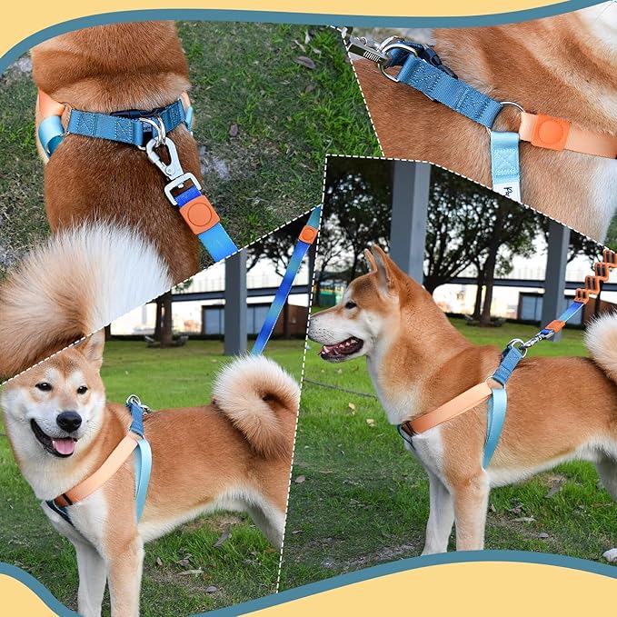 Tri-Color Dog Harness and Purple Pink Gradient Shock Absorbing Dog Leash Set,Step-in Freedom Dog Vest Harness,Strong Padded Handle to Help Stop Pulling for Midium Dog Walking and Traning