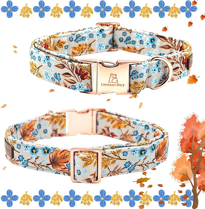 Lionheart glory Premium Dog Collars Fall Dog Collar, Heavy Duty Adjustable Dog Collar for X-Small Puppy Dogs Maple Leaf Dog Collar