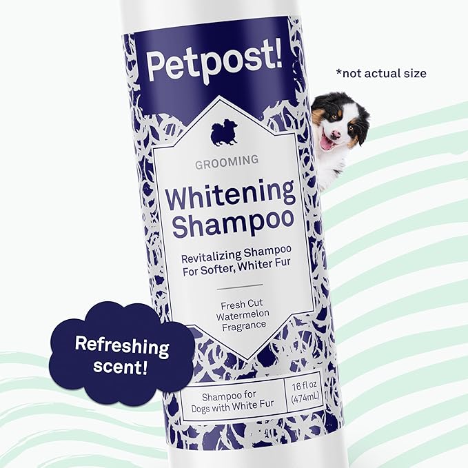 Petpost | Dog Whitening Shampoo - Best Lightening Treatment for Dogs with White Fur - Soothing Watermelon Scent - Maltese, Shih Tzu, Bichon Frise Approved 16 oz.