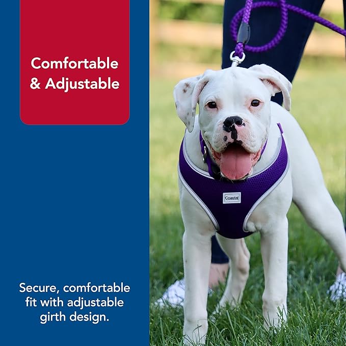 Coastal Pet Comfort Soft Reflective Wrap Adjustable Dog Harness - No-Pull Dog Harness for Small & Large Dogs - Purple - 1" x 28"–36"