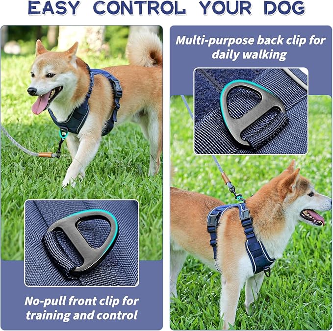 Dog Harness, No Pull Pet Harness No-Choke with 2 Metal Rings 3 Buckles Reflective Adjustable Soft Padded Pet Vest with Easy Control Handle for Small Medium Large Dogs (Small, Blue)