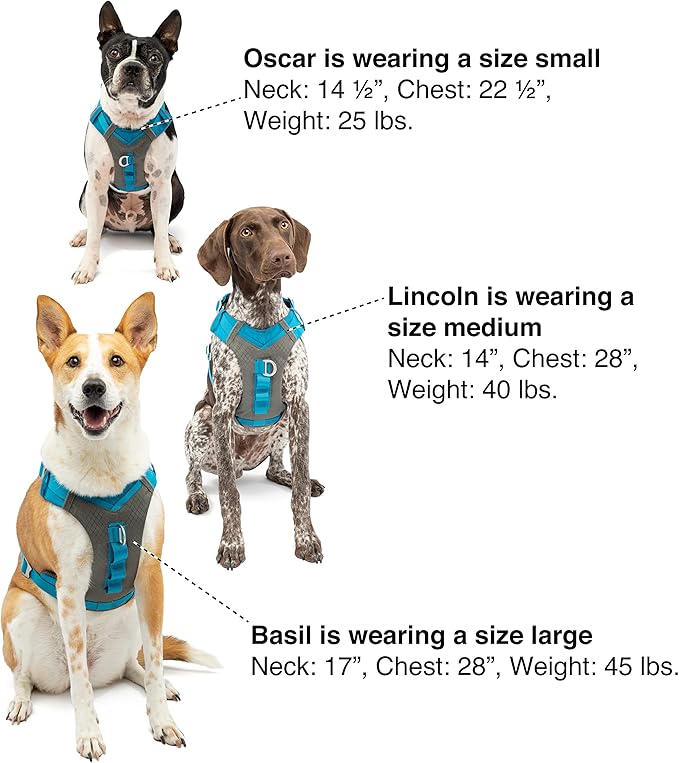Kurgo Journey Air Dog Harness, Vest Harnesses for Dogs, Pet Hiking Harness for Running & Walking, Reflective, Padded, Includes Control Handle, No Pull Front Clip (Orange, Medium)