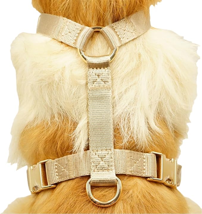 Nylon No Pull Dog Harness with Gold Metal Buckles,Easy Walking and Training Dog Harness (Tan, L)