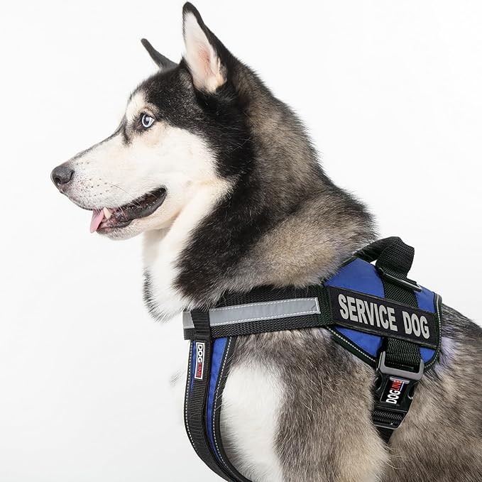 Dogline Unimax Service Dog Vest and Free Service Dog ID Badge with ADA Law, Medium, Blue