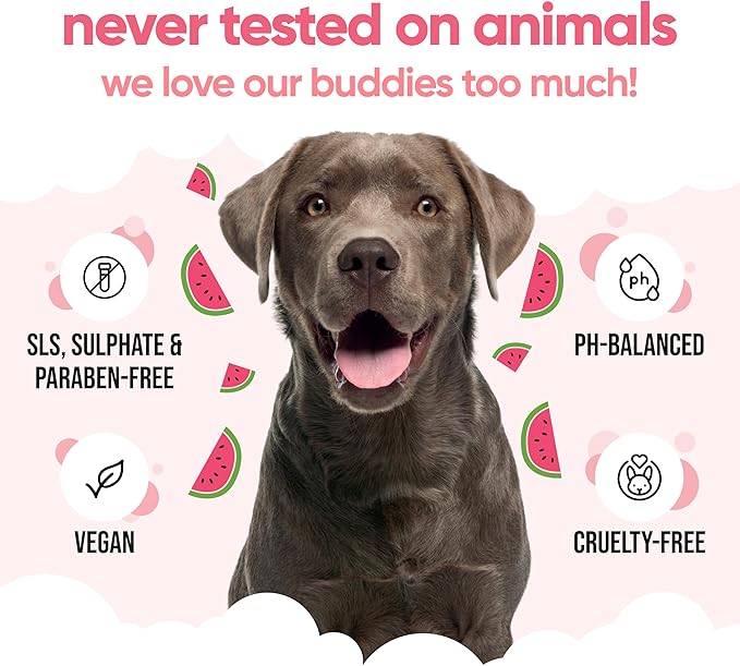 Watermelon Dog Shampoo by Buddycare | Deep Cleansing Shampoo for Dogs | Watermelon Scented | with Aloe Vera and Pro Vitamin B5 (16.90oz)