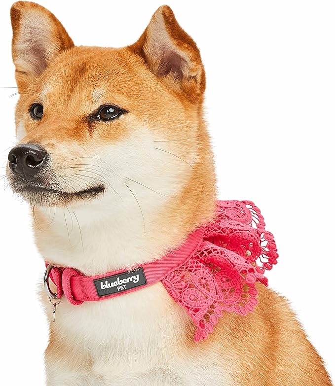 Blueberry Pet Floral Lace Adjustable Dog Collar in French Pink with Metal Buckle, Neck 13-16.5", for Medium Breed