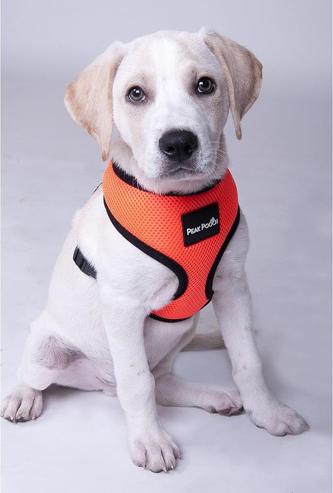 Step in- Dog Harness for Small Dogs No-Pull - Step Instep in Dog Harness - Padded Mesh Fabric Dog Vest - Adjustable Belly Belt & Quick-Snap Clip - Chocolate - 15 in - Extra Large Dog Harness