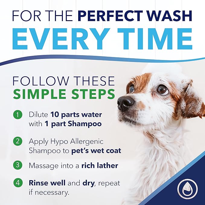 TropiClean OxyMed Hypoallergenic Dog Shampoo for Allergies and Itching, Skin Soothing Shampoo for Pets with Sensitive Skin, Tearless, Cat Safe, 1 Gallon