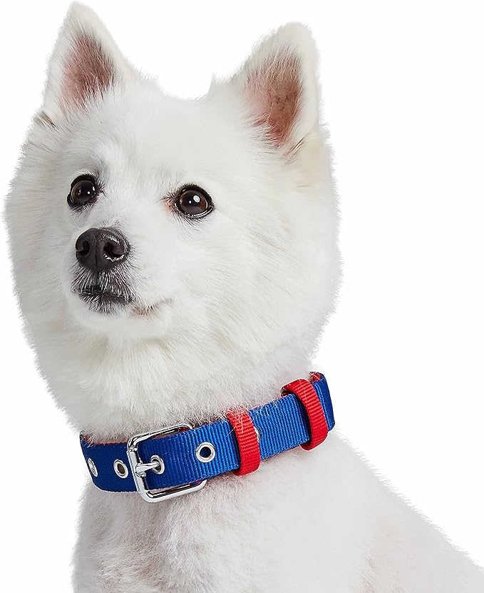 Blueberry Pet Iconic Color-Block Adjustable Dog Collar with Metal Buckle, Navy Blue and Red, Neck 13-16.5", for Medium Breed