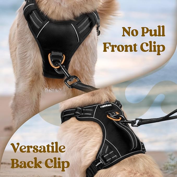 rabbitgoo Dog Harness Small Sized Dog, No Pull Pet Harness with Soft Padded Handle, Adjustable Reflective Vest with 3 Buckles, Easy Walking Harness with 2 Leash Clips, Black, S
