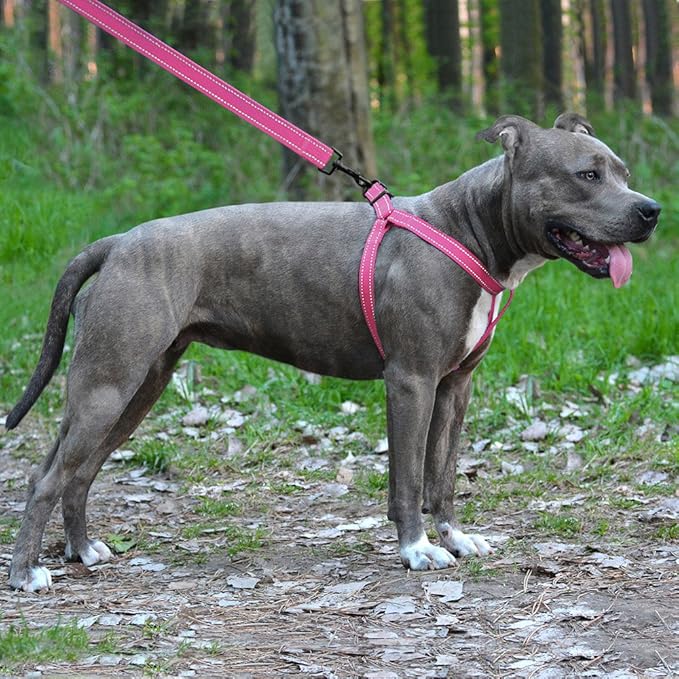 CollarDirect Reflective Dog Harness Step in Small Medium Large for Outdoor Walking, Comfort Adjustable Harnesses for Dogs Puppy Pink Black Red Purple Mint Green Orange Blue (Small, Orange)