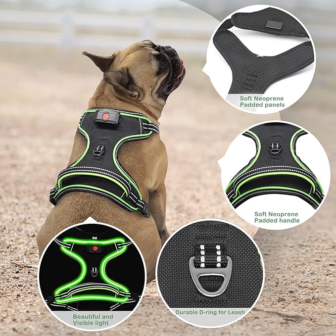 Light Up Dog Harness No Pull LED Dog Harness with Handle Vizbrite Rechargeable Lighted Dog Vest Harness for Small/Medium/Large/X-Large Size Dogs No Pull, 4 Point Adjustable Dog Harness Black-Green
