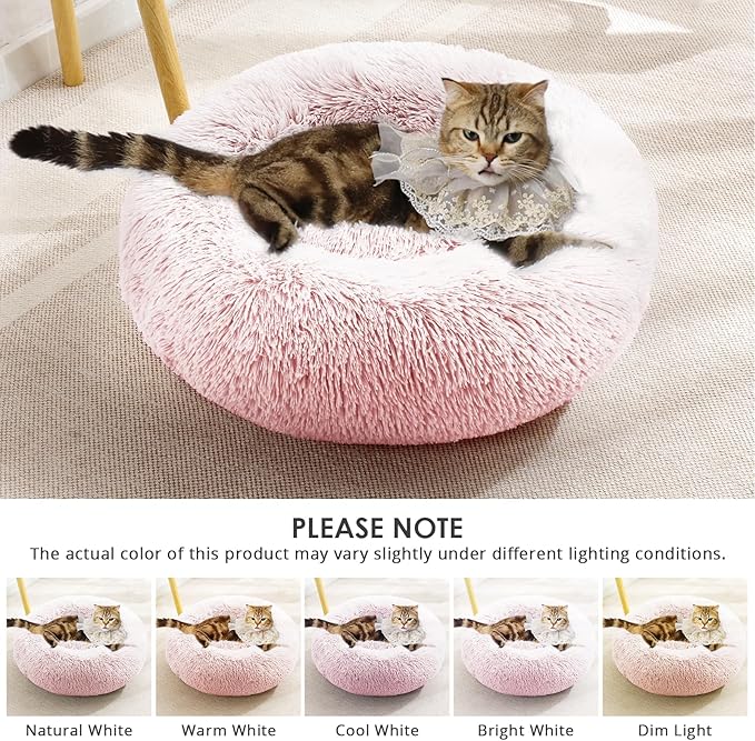 JOLLYVOGUE Dog Beds, Calming Small Dog Bed, Anti-Anxiety Dog Bed for Small Dogs, Fluffy Donut Dog Bed, Cozy Dog Cat Cushion Bed for Small Medium Dogs (24")