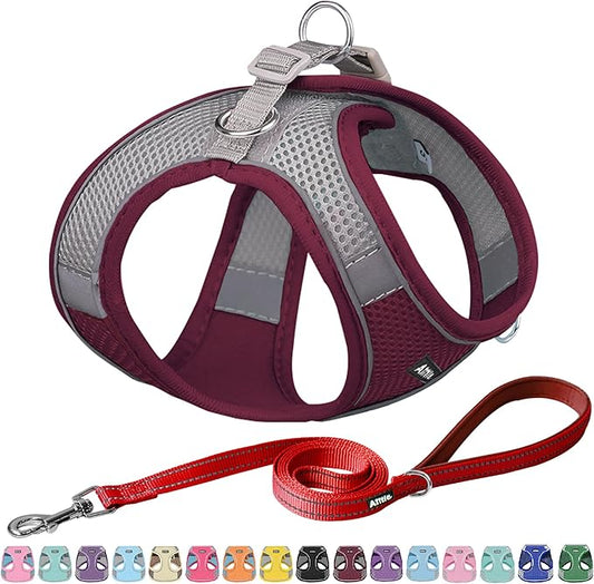 AIITLE Escape Proof Dog Harness - Step in Adjustable Dog Harness No Choke Over with Breathable Mesh and Quick-Release Buckle for Spring- Outdoor Walking, Camping, Training for Medium Dogs Burgundy XL