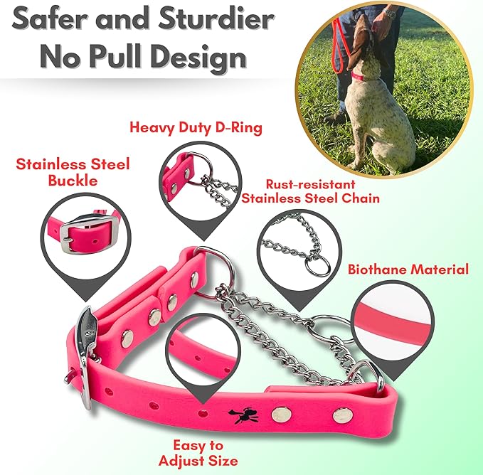Martingale Collar for Dogs, Biothane, Stainless Steel Hardware, No Pull, Made in The USA, Professional Grade, XS, Pink