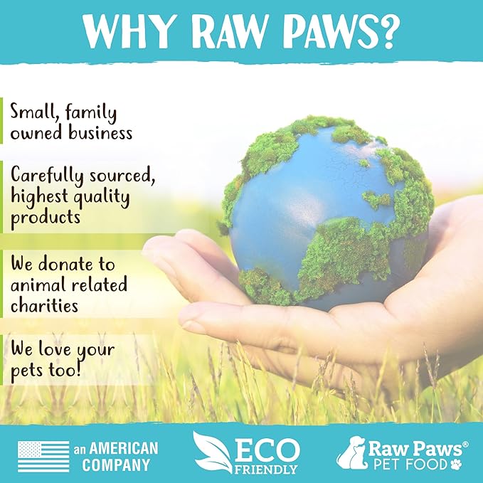 Raw Paws Freeze Dried Cheddar Cheese Treats for Dogs, 3-oz - Crunchy Dog Cheese Puffs Made in USA, Natural Dried Cheese for Dogs - 100% Real Wisconsin Cheddar Cheese Bites for Dogs - Dog Cheese Treats