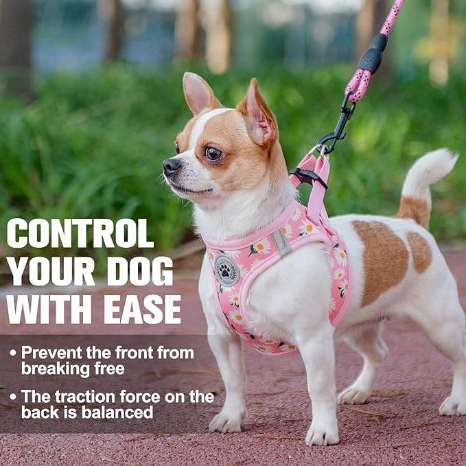 BEAUTYZOO Step in Dog Harness and Leash Set, Floral Pattern Reflective Dog Harness No Pull No Choke Puppy Harness for XXS XS S Dogs Cats, Soft Padded Mesh Vest Harnesses for Girl and Boy Pets