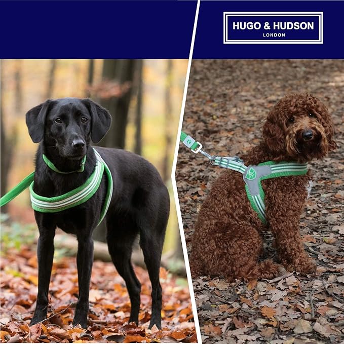 HUGO & HUDSON Easy Walk Dog Harness, Adjustable Quick Dry No-Pull Pet Harness, Green, Size 2
