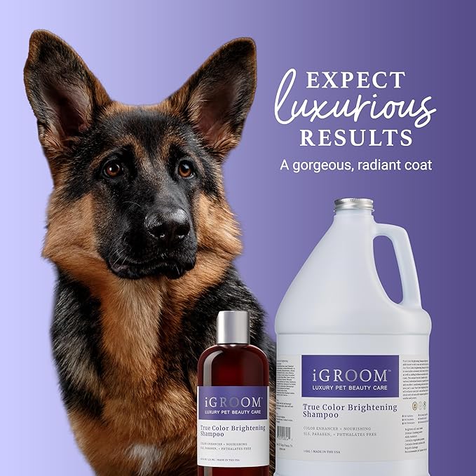 iGroom True Color Dog Shampoo, Coat Luxury Pet Beauty Care, Brighten, Enhance and Restore Natural Coat Color, Add Moisture and Condition, Made in USA, 16 oz
