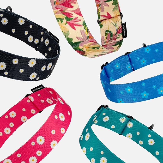 CollarDirect Martingale Collars for Dogs Heavy Duty Floral Pattern Female Safety Nylon Training Wide Collar Flower Design Large Medium (XL, Neck Size 19"-24", Pink)