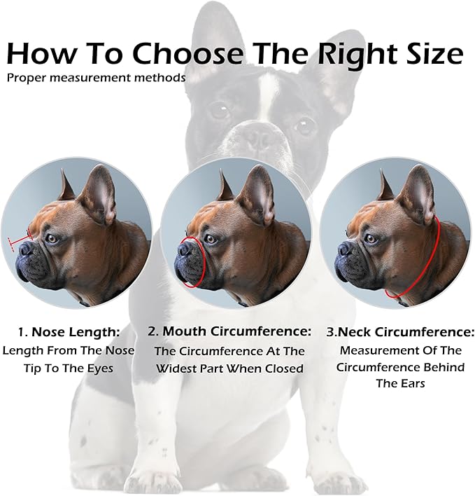 OOPSDOGGY French Bulldog Dog Muzzle for Short Snout Dog - Leather Breathable Secure Basket Muzzle for Frenchie Prevents Biting No Chewing Adjustable (Black, Size 2 - French Bulldog)
