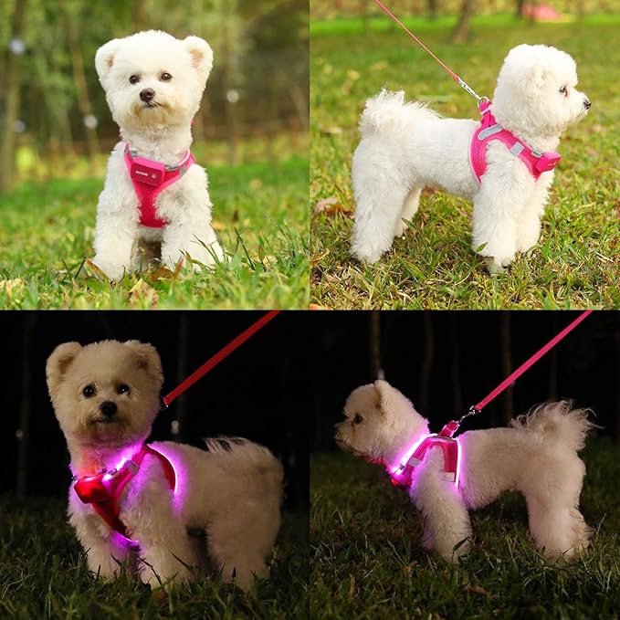Light Up Dog Harness,LED Dog Harness Rechargeable, Lighted Dog Vest Harness for Night Walking,Reflective Safety Vest for Small Medium Large Dogs,Adjustable Soft Mesh,Pink,S
